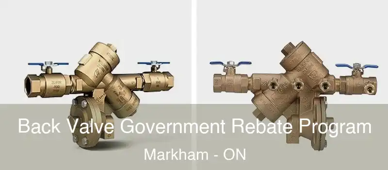 Back Valve Government Rebate Program Markham - ON