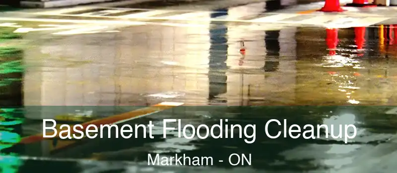 Basement Flooding Cleanup Markham - ON