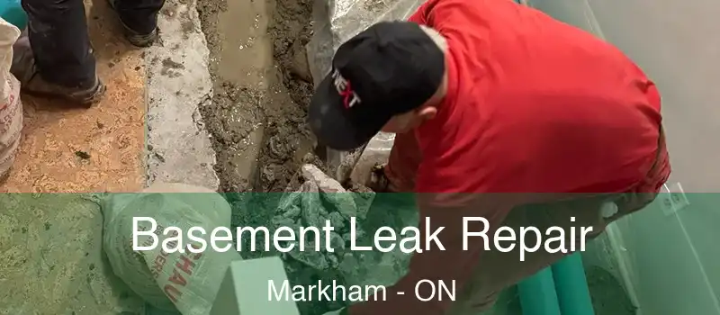 Basement Leak Repair Markham - ON