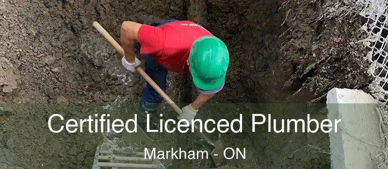 Certified Licenced Plumber Markham - ON