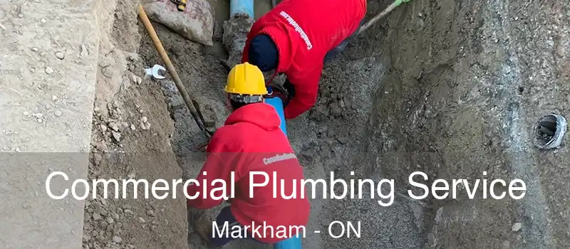 Commercial Plumbing Service Markham - ON