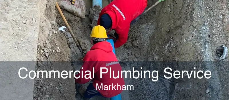 Commercial Plumbing Service Markham