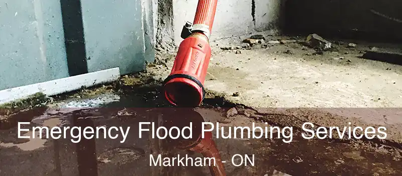 Emergency Flood Plumbing Services Markham - ON