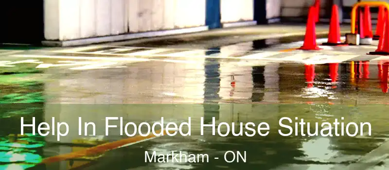 Help In Flooded House Situation Markham - ON