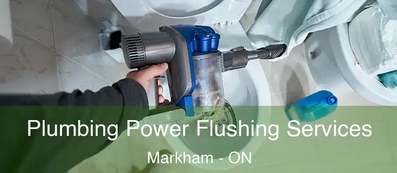 Plumbing Power Flushing Services Markham - ON