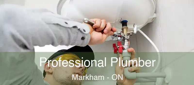 Professional Plumber Markham - ON