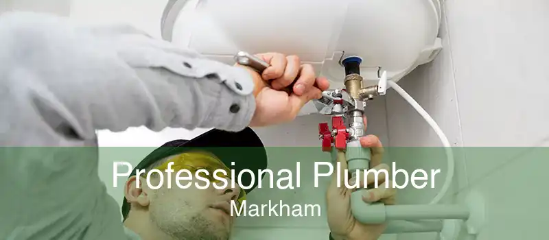 Professional Plumber Markham