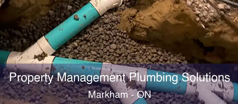 Property Management Plumbing Solutions Markham - ON