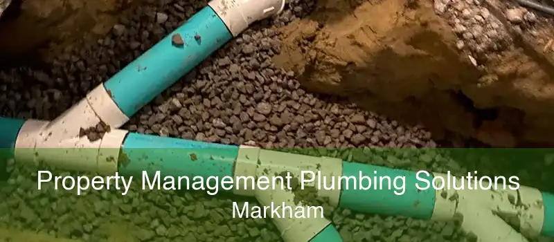 Property Management Plumbing Solutions Markham