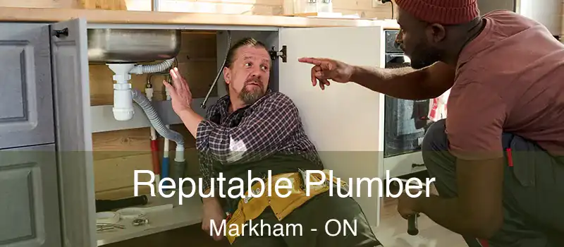 Reputable Plumber Markham - ON