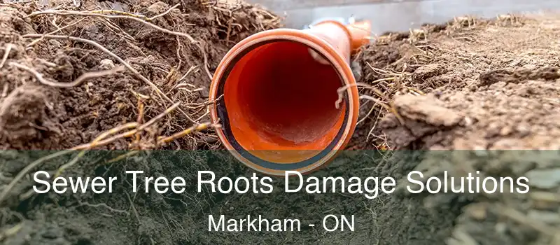 Sewer Tree Roots Damage Solutions Markham - ON