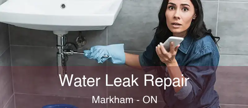 Water Leak Repair Markham - ON