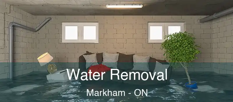 Water Removal Markham - ON