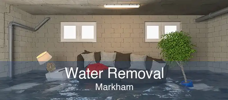 Water Removal Markham